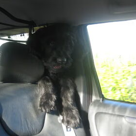grace in de auto kan nu nog door het gaatje straks lekker niet…
