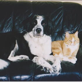 montie en winnie beste vrienden voor het leven en nu na het leven