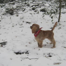 In de sneeuw!