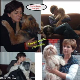 Hondenfoto van liesbeth,Turbo,Luna, Levi en Faith