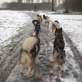 mijn meisje, rechts achter..