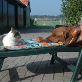 Was het maar weer zomer....
