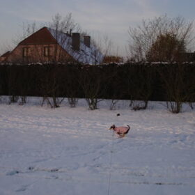Winterpret!