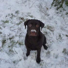 sneeeeeuw :D
