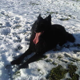 Genieten van de sneeuw
