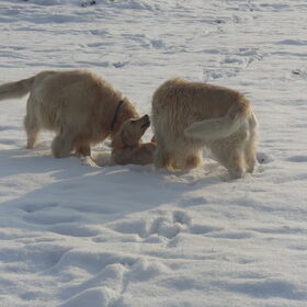 Toen kwamen er andere goldies aan. ;D