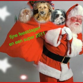 Hondenfoto van liesbeth,Turbo,Luna, Levi en Faith