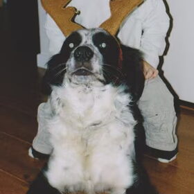 montie en jesse 6 jaar geleden