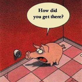 Cartoon