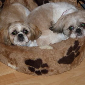 links dochter masha 8 mnd en mama lizzy rechts