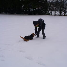 samen zoeken