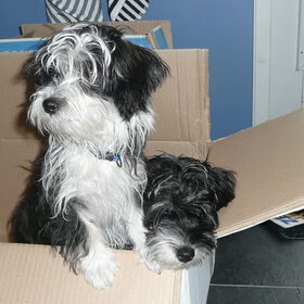 Onze nieuwe mand ;-)
