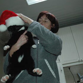 Silvester doet ook mee