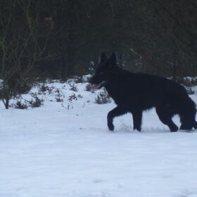lekker spelen in de sneeuw