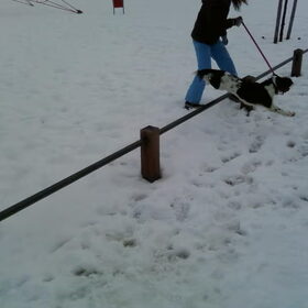 Lekker springen in de sneeuww!
