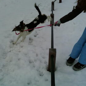 Jumping!:P