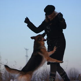 Hondenfoto van jolanda 