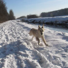 I believe I can fly, 5 maanden oud