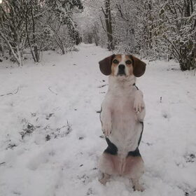 roxy poseren in de sneeuw