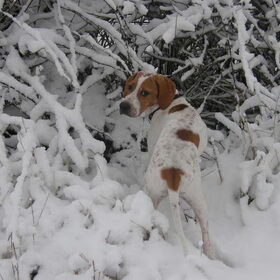 sneeuw op mijn koppie