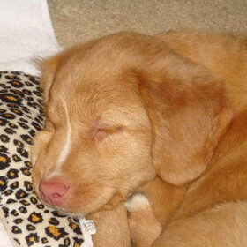 Zzzzzzz
