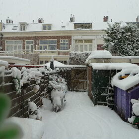 Nee geen baasje ,maar er licht wel weer een pak met sneeuw .