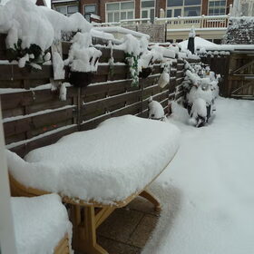 Mijn baasje had het toch weg gehaald.hahaha ,ik heb mijn sneeuw…