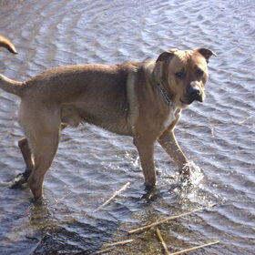 Spikey vind water eigenlijk niks :P