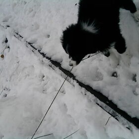 stomme tak ik win toch