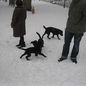 spelen in de sneeuw met vriendjes