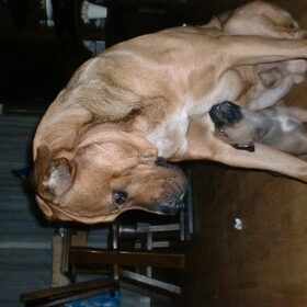 spikey en nino