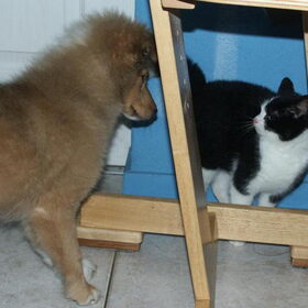 1e kennismaken Daisy en Felix