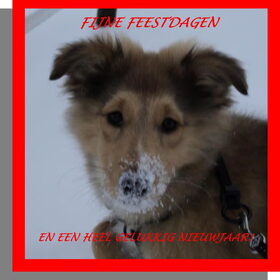 FIJNE FEESTDAGEN EN EEN GEWELDIG 2011!!