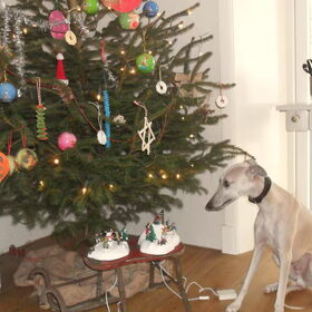 bij de kerstboom