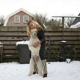 Hondenfoto van Zzoef Rossi & Lorenzo