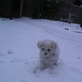 Lekker in de sneeuw gespeeld