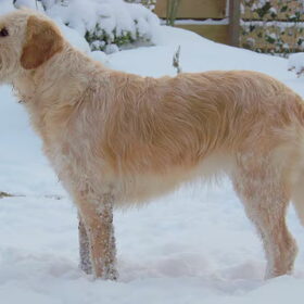 Mooi winters plaatje...