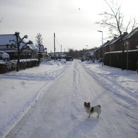 winterwandeling