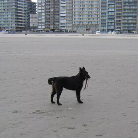 eerste uitstapje aan zee op 3 okt 2010
