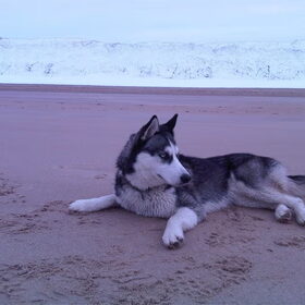 op het strand, met besweeuwde duinen