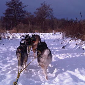 2e kerstdag.... zena links achter.. ik mocht mee op de slee…