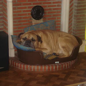 Nog een beetje slapen =)