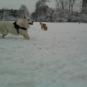 Remmen!!!