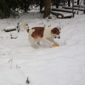 roxie met haar running egg