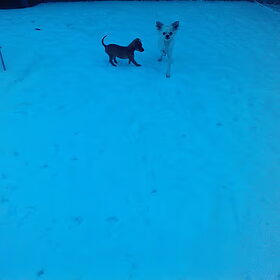 aah in de sneeuw zo koud hihihi