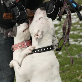 samen knuffelen