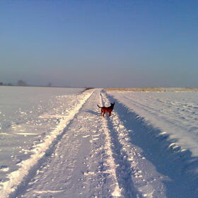 Kylie in de Sneeuw, sneeuw en nog eens sneeuw.
