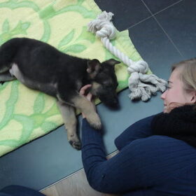 Hondenfoto van Valerie &. Arco