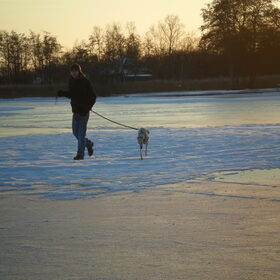 in de sneeuw