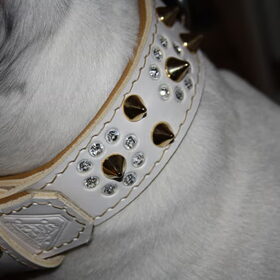 Ghenghis zn nieuwe halsband